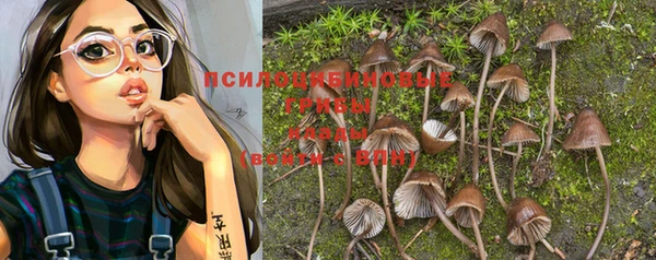 спайс Надым
