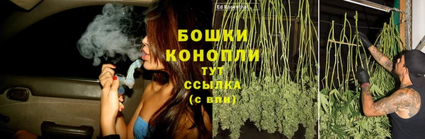мяу мяу мука Гусев