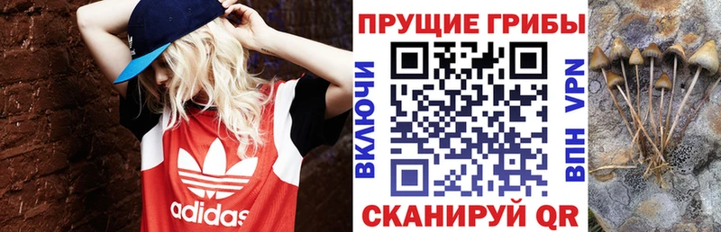 Галлюциногенные грибы мухоморы  купить наркотики сайты  Бавлы 